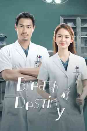 Breath of Destiny Season 1 | Rtally