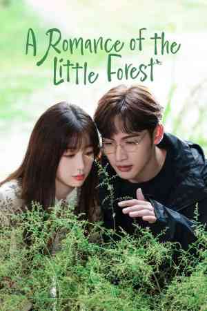 A Romance of the Little Forest Season 1 | Rtally